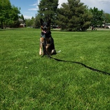 Entry image for Abby