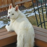 Entry image for Zara