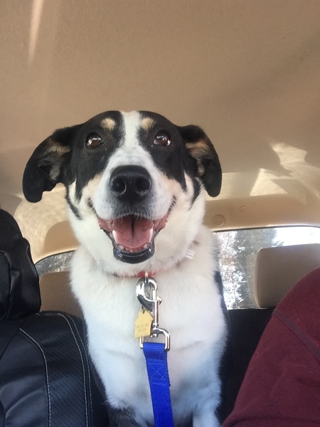 Entry image for Hannah. Clicking this image will show a larger photo