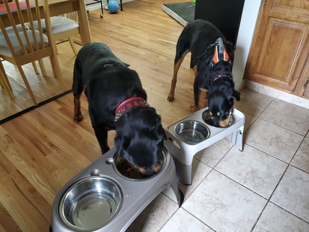 Entry image for Ryen and Kodi. Clicking this image will show a larger photo