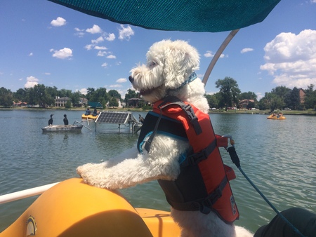 Entry image for Hallie. Clicking this image will show a larger photo