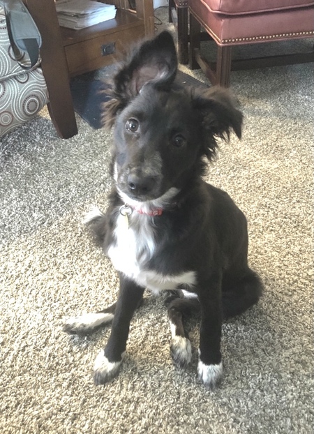 Entry image for Hana. Clicking this image will show a larger photo