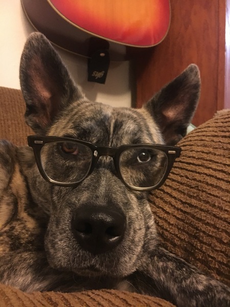 Entry image for Juno. Clicking this image will show a larger photo