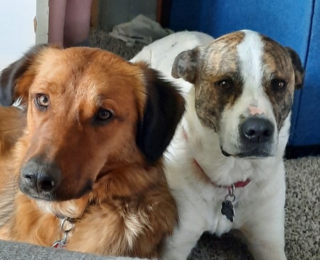 Entry image for Charlemagne & Marla. Clicking this image will show a larger photo