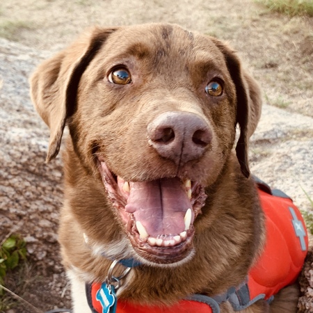 Entry image for Charley. Clicking this image will show a larger photo