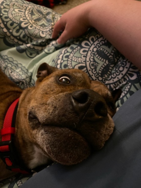 Entry image for Kai. Clicking this image will show a larger photo