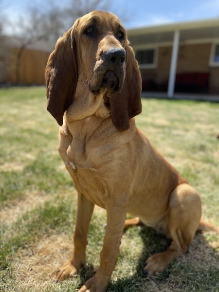 Entry image for Marla Hooch. Clicking this image will show a larger photo