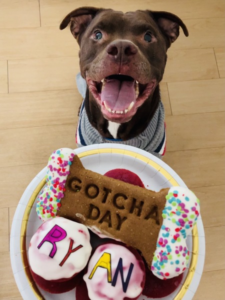 Entry image for Ryan. Clicking this image will show a larger photo