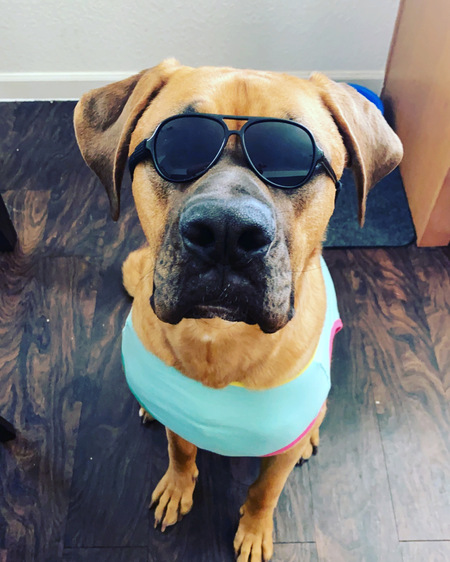 Entry image for Ace. Clicking this image will show a larger photo