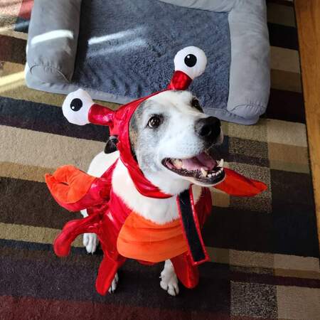 Entry image for Mikey. Clicking this image will show a larger photo