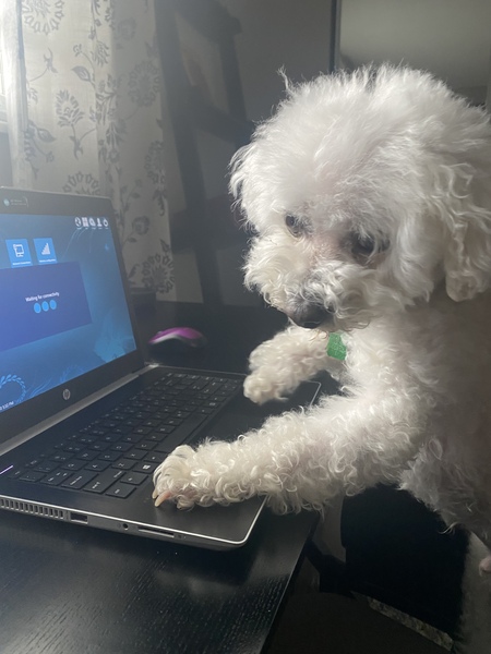 Entry image for PETE. Clicking this image will show a larger photo