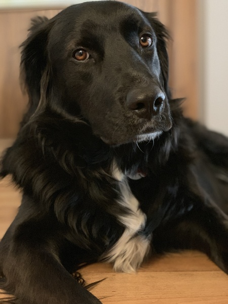 Entry image for Nelson. Clicking this image will show a larger photo