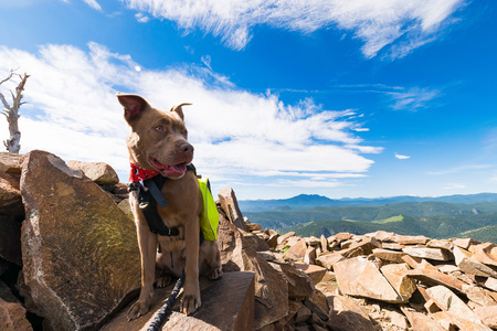 Entry image for Hennessy. Clicking this image will show a larger photo