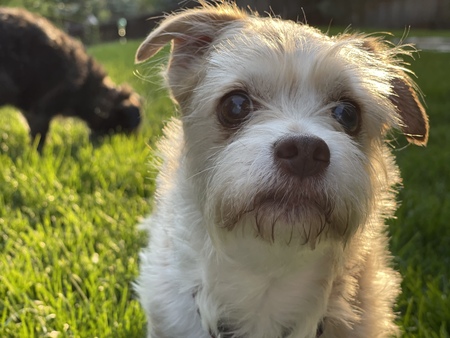 Entry image for Mädchen. Clicking this image will show a larger photo