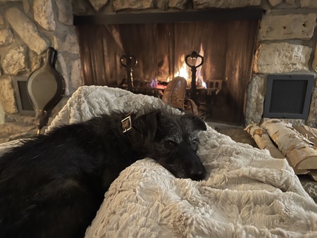 Entry image for Dieter. Clicking this image will show a larger photo