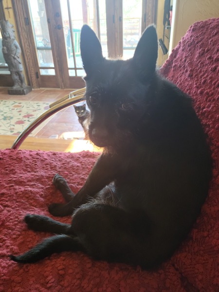 Entry image for MalcolmX. Clicking this image will show a larger photo