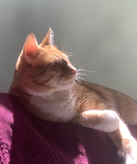 Entry image for Aidan. Clicking this image will show a larger photo