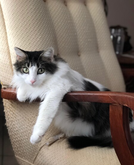 Entry image for Batman. Clicking this image will show a larger photo