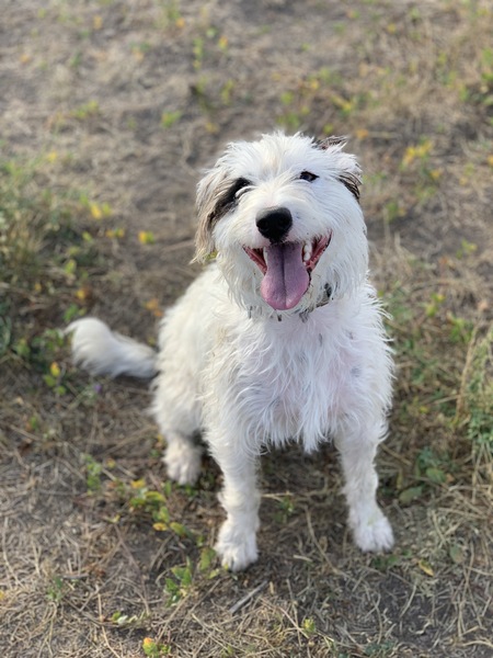 Entry image for Charlie. Clicking this image will show a larger photo