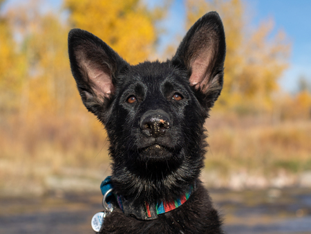 Entry image for Jett Savage. Clicking this image will show a larger photo