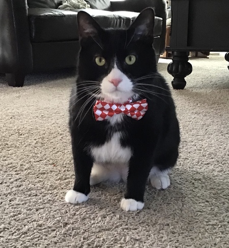 Entry image for Bruce. Clicking this image will show a larger photo