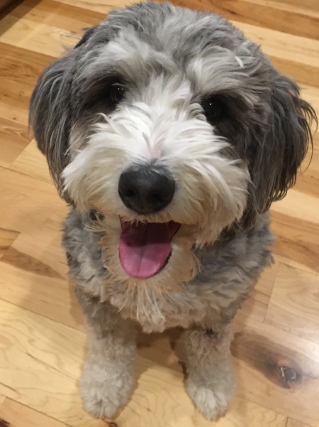 Entry image for Milicent . Clicking this image will show a larger photo