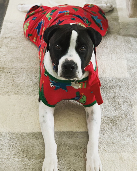 Entry image for Walter. Clicking this image will show a larger photo