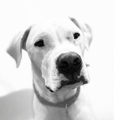 Entry image for Odin. Clicking this image will show a larger photo