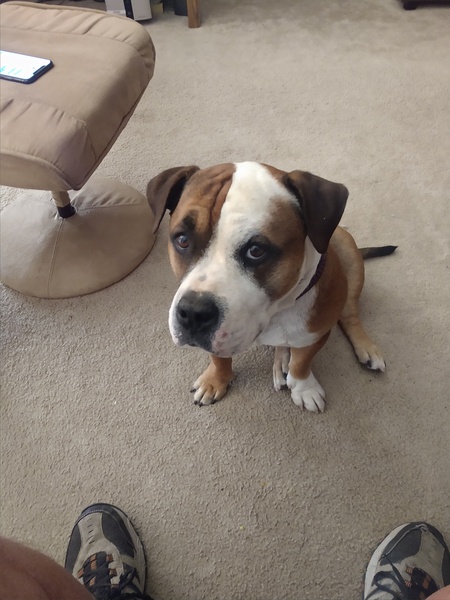 Entry image for Franklin. Clicking this image will show a larger photo