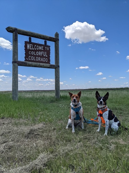 Entry image for Jesse & Zeebo. Clicking this image will show a larger photo