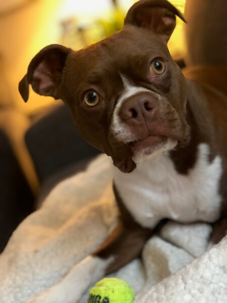 Entry image for Crosby. Clicking this image will show a larger photo