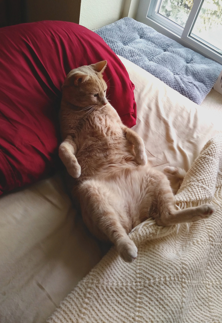 Entry image for Avery. Clicking this image will show a larger photo