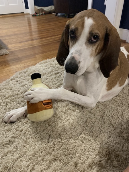 Entry image for Frisco. Clicking this image will show a larger photo