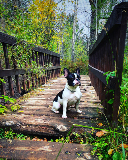 Entry image for Elliott. Clicking this image will show a larger photo