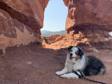 Entry image for Stella. Clicking this image will show a larger photo