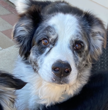 Entry image for Ghost. Clicking this image will show a larger photo