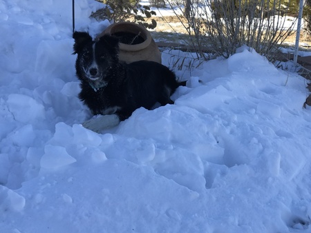 Entry image for Abbey . Clicking this image will show a larger photo