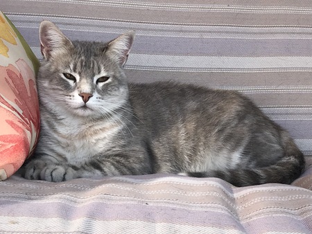 Entry image for Momma . Clicking this image will show a larger photo