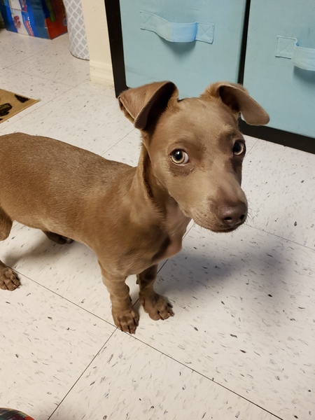 Entry image for Leroy Jenkins. Clicking this image will show a larger photo