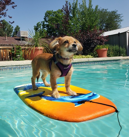 Entry image for Eris. Clicking this image will show a larger photo