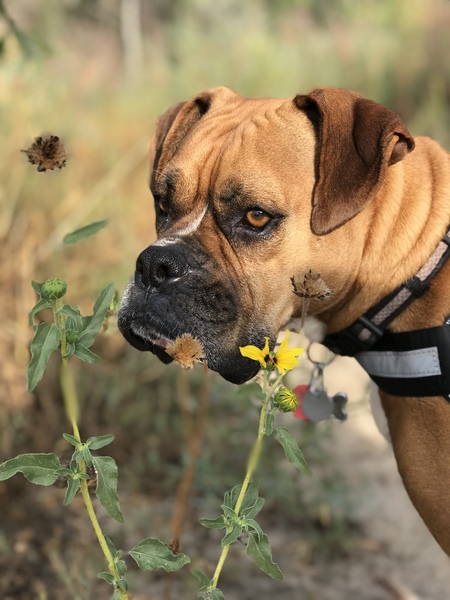 Entry image for Luke. Clicking this image will show a larger photo