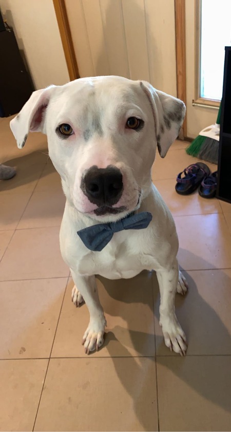 Entry image for Breckenridge. Clicking this image will show a larger photo