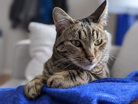 Entry image for Maybe. Clicking this image will show a larger photo