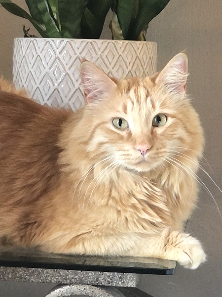 Entry image for Dash Riprock. Clicking this image will show a larger photo