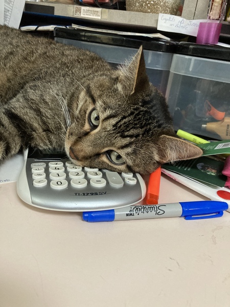 Entry image for Embree . Clicking this image will show a larger photo