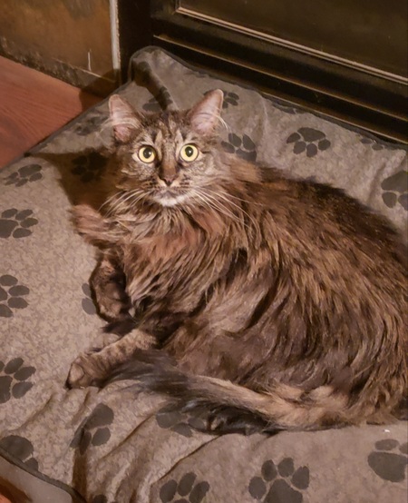 Entry image for Helga. Clicking this image will show a larger photo