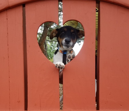 Entry image for Beesly. Clicking this image will show a larger photo