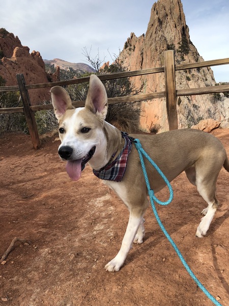 Entry image for Frida. Clicking this image will show a larger photo