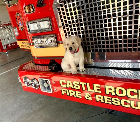 Entry image for Bentley. Clicking this image will show a larger photo