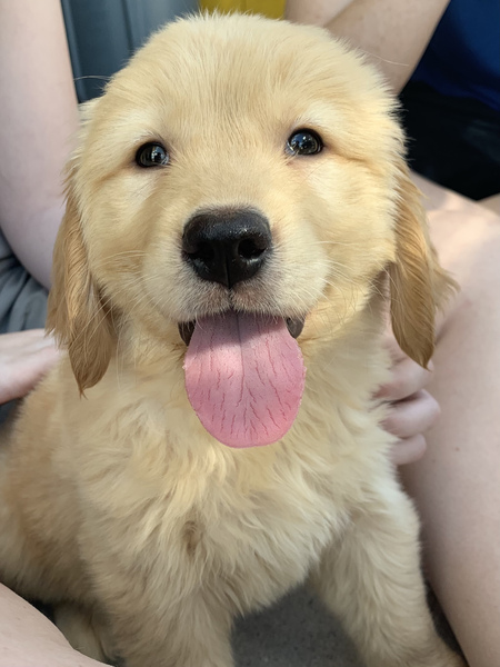 Entry image for Barnes. Clicking this image will show a larger photo